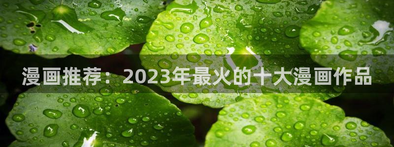 亚洲天堂漫画av：漫画推荐：2023年最火的十大漫画作品