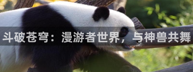 天堂漫画最新版：斗破苍穹：漫游者世界，与神兽共舞