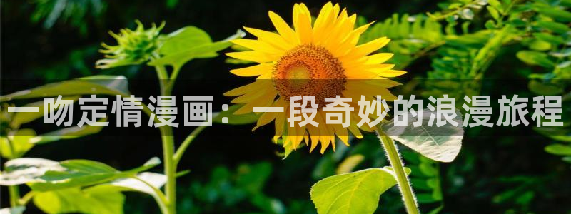 天堂漫画网盘：一吻定情漫画：一段奇妙的浪漫旅程