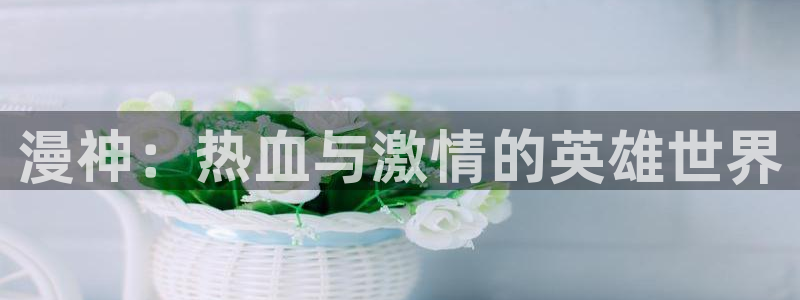禁天堂漫画网站入口免费观看：漫神：热血与激情的英雄世界